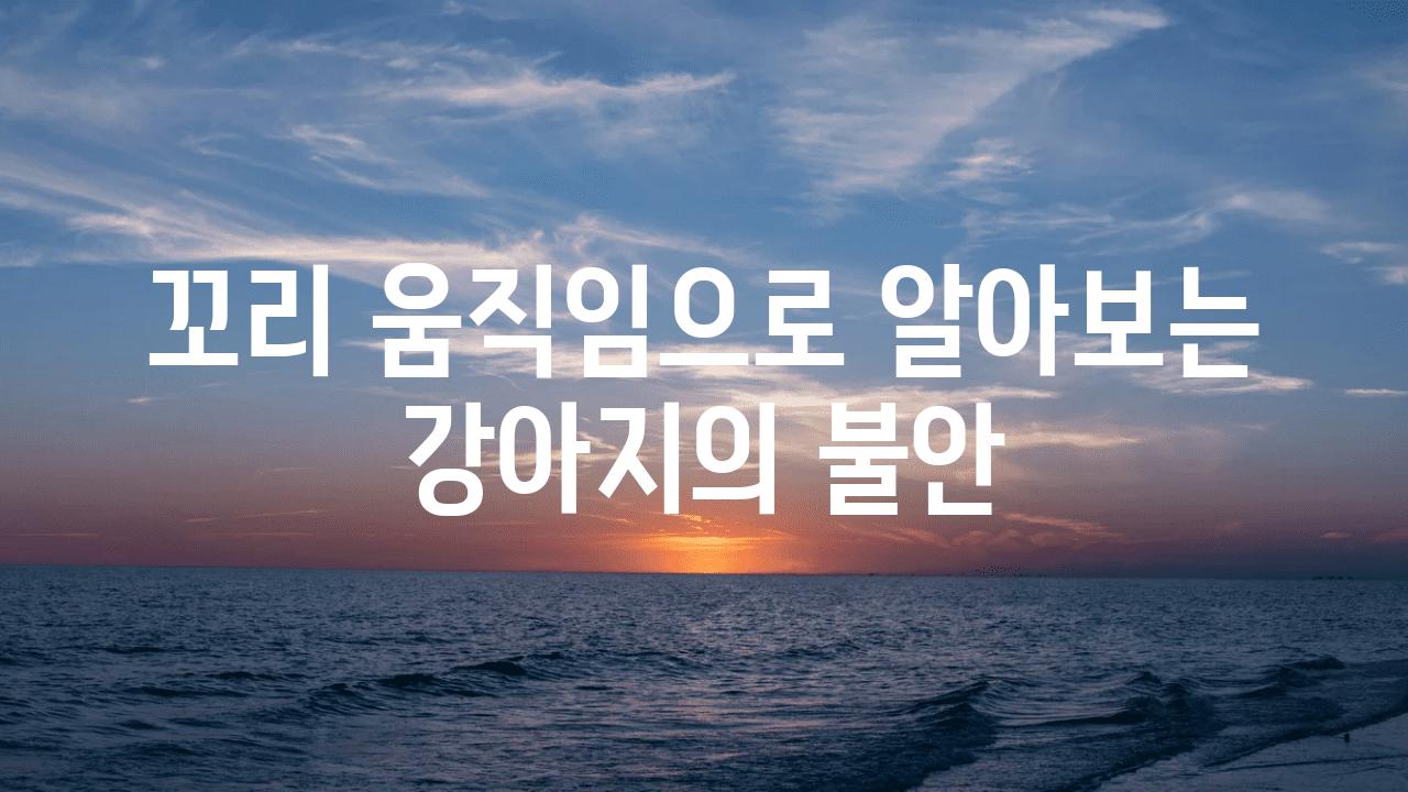 꼬리 움직임으로 알아보는 강아지의 불안