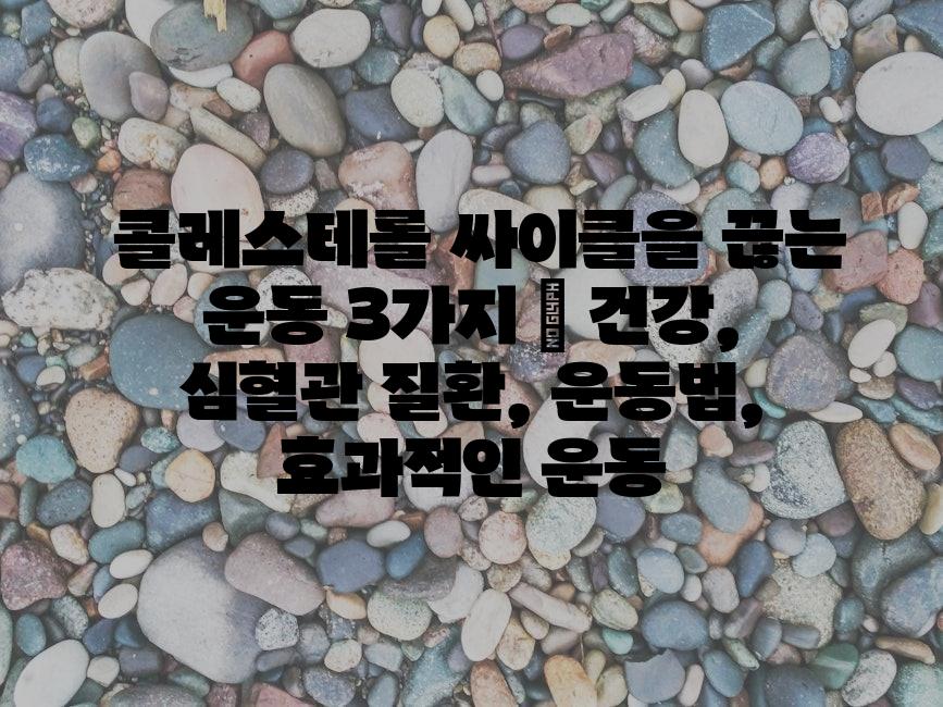 샘플 (82)