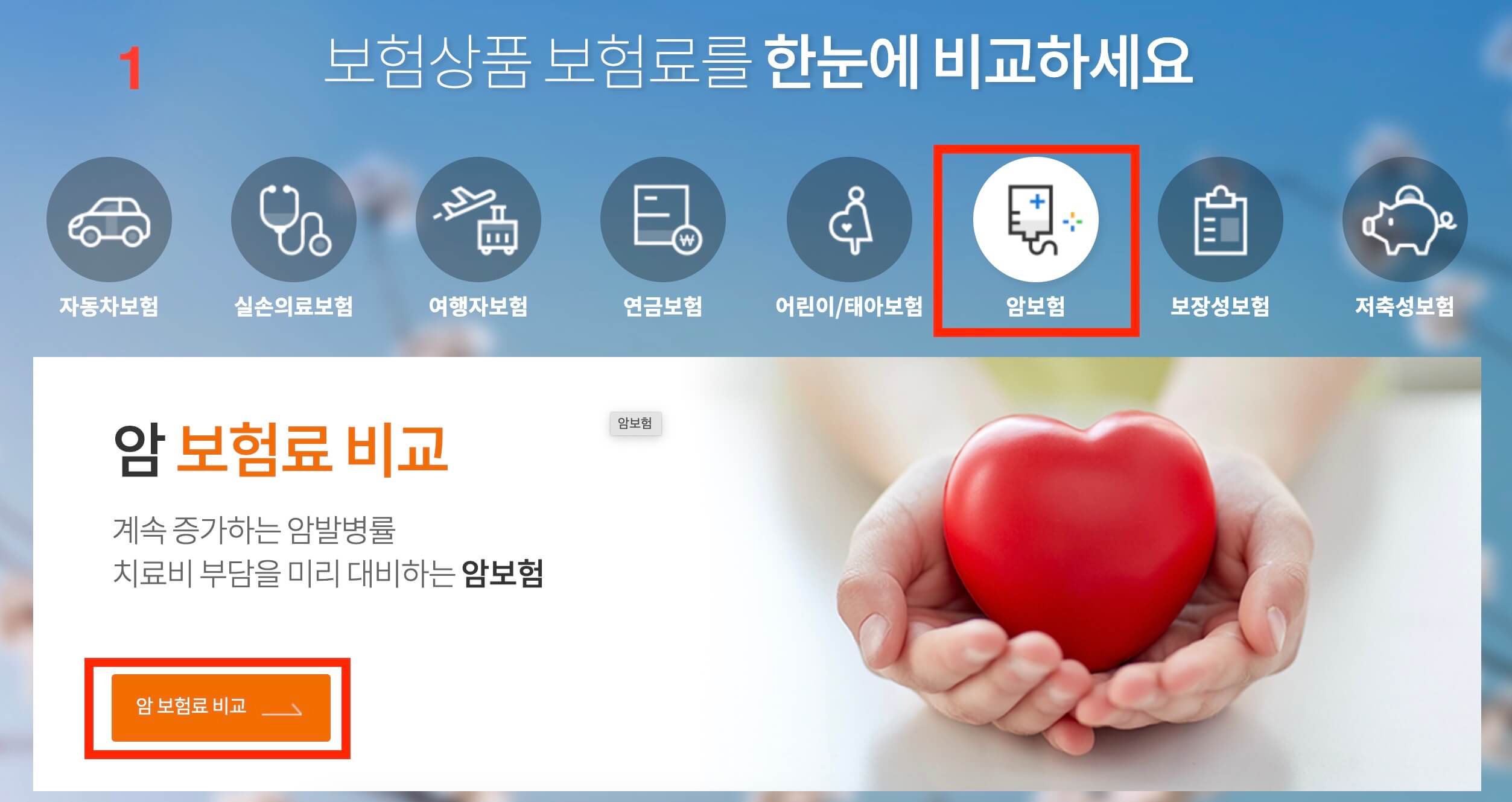 보험비교견적사이트