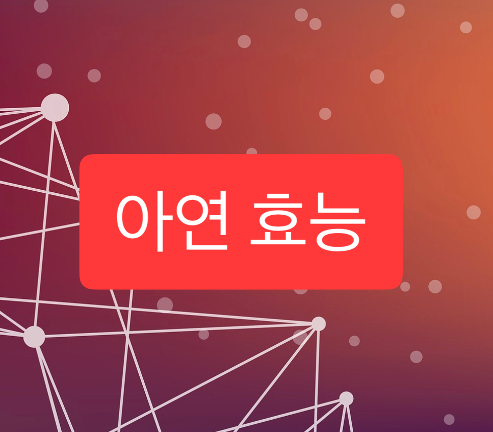  아연 효능 완벽정리