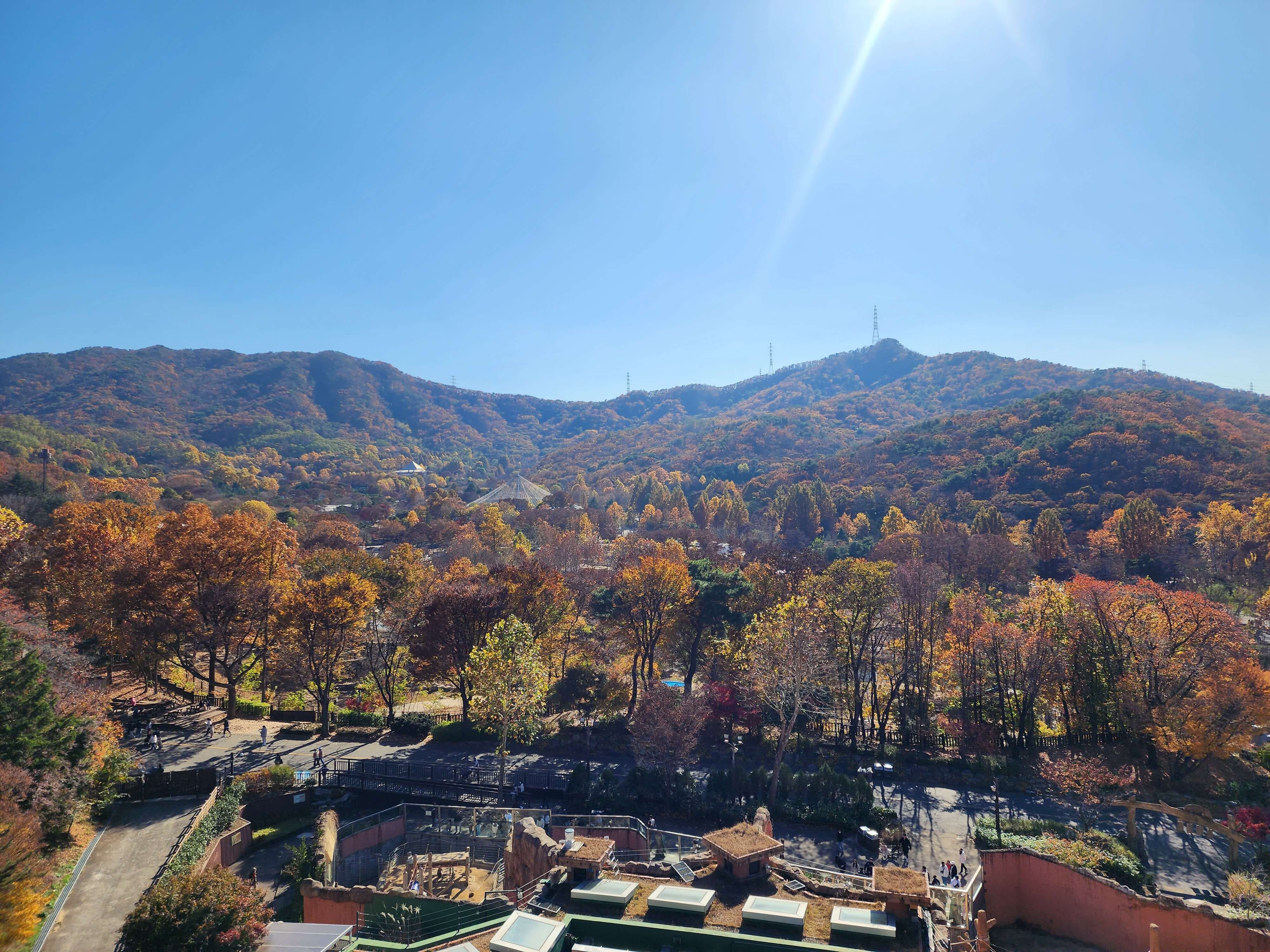 서울대공원 리프트에서 보는 가을
