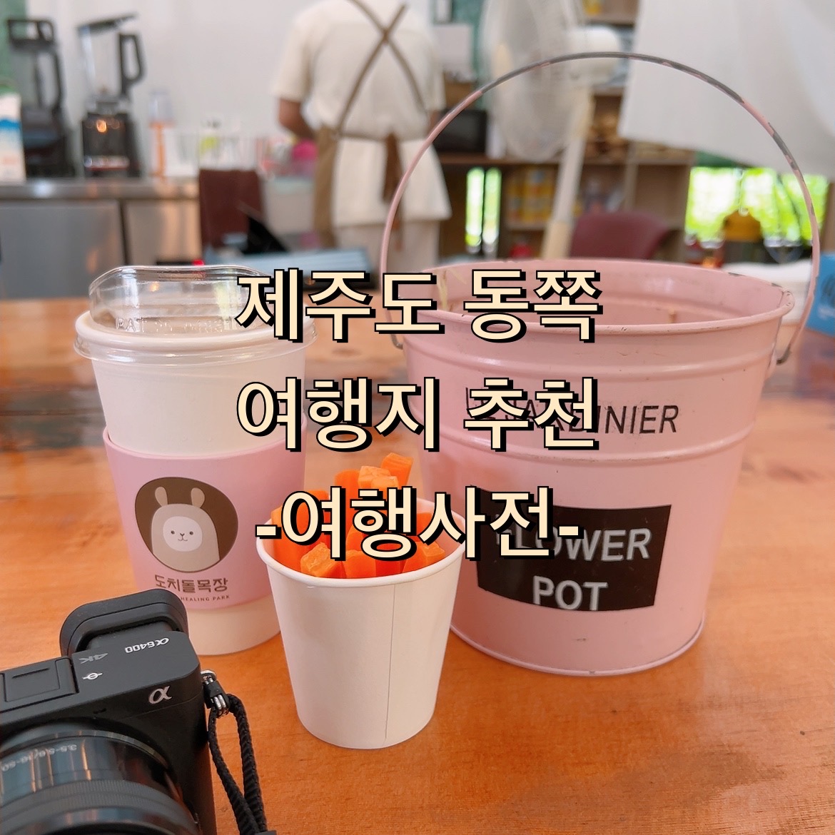  제주도 애월부근 동쪽 여행지 추천