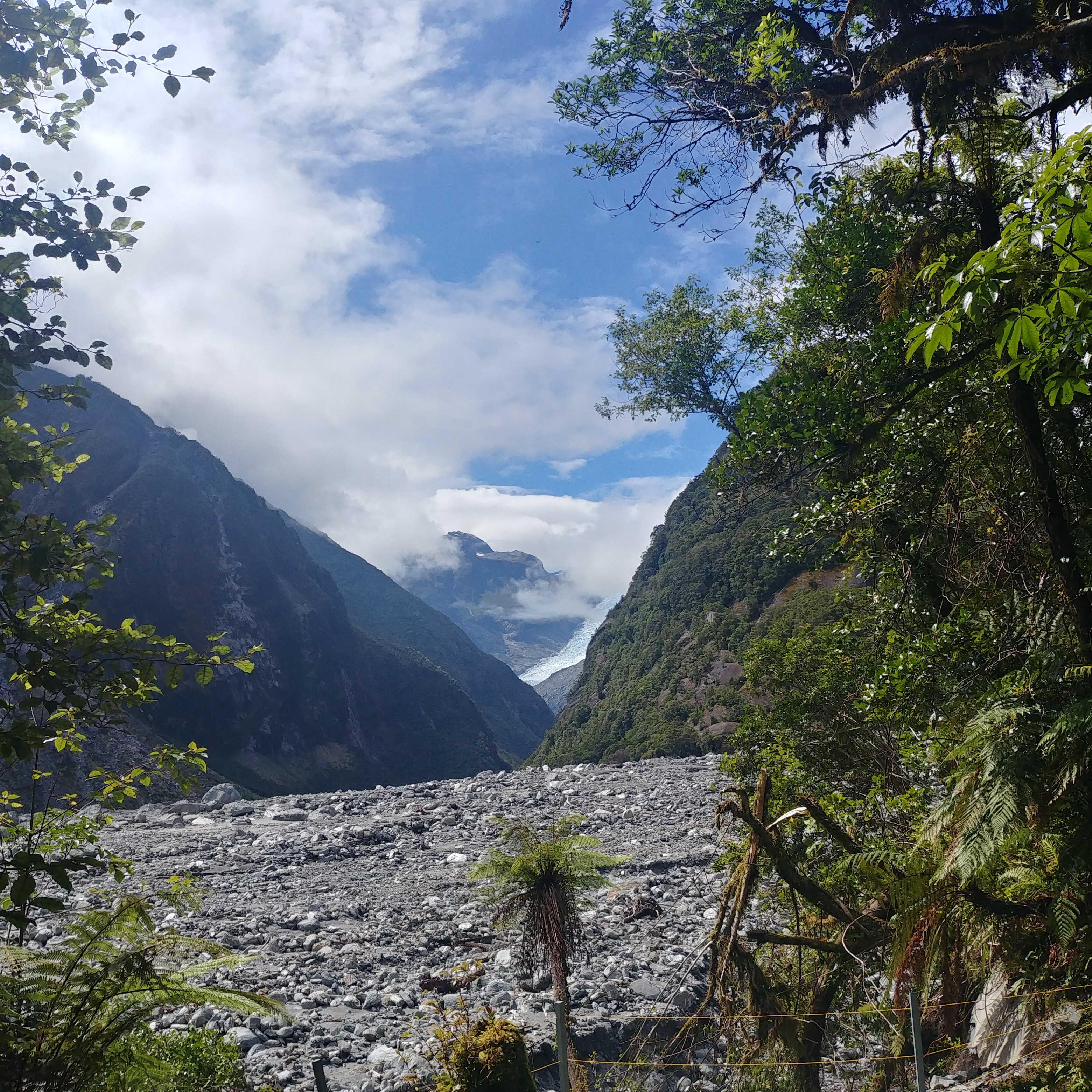 뉴질랜드 남섬 여행 만년설과 빙하 Fox Glacier View