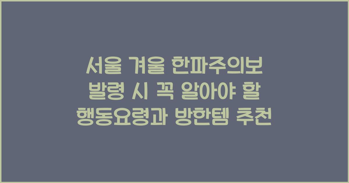 서울 겨울 한파주의보 발령 시 행동요령과 방한템 소개