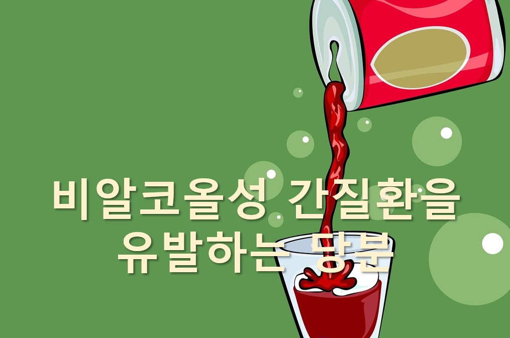  다양한 간질환을 유발하는 탄산음료