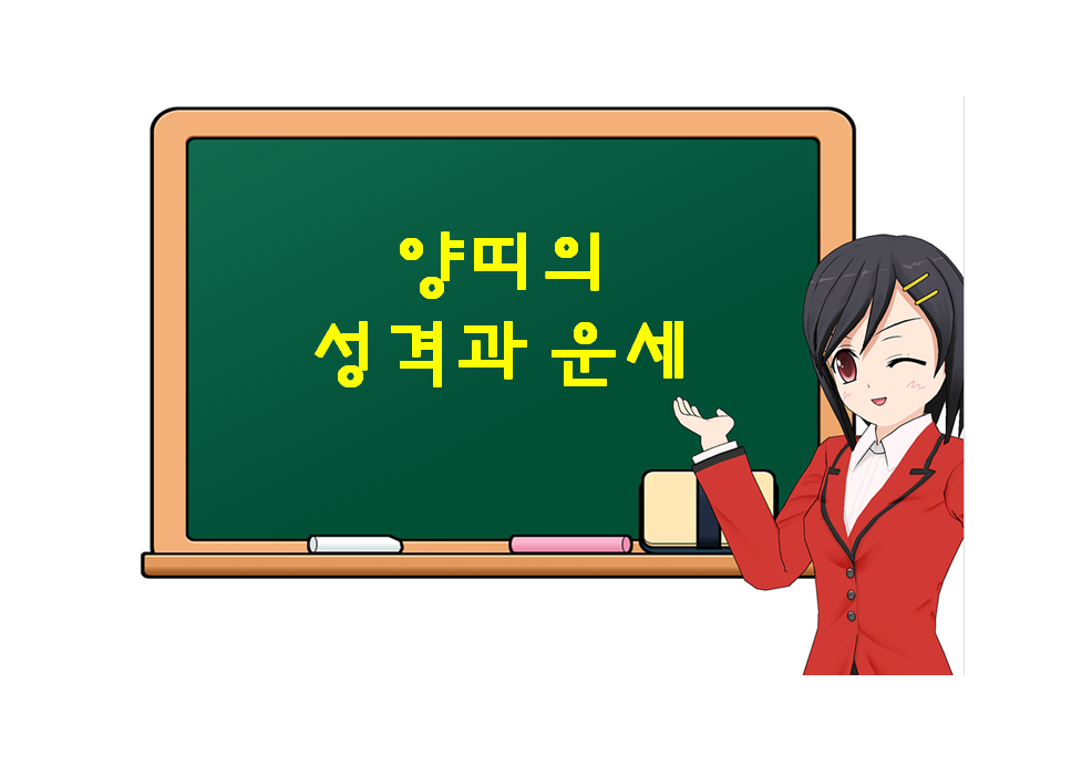  양띠의 성격과 운세, 양띠에 대해 궁금하다면?