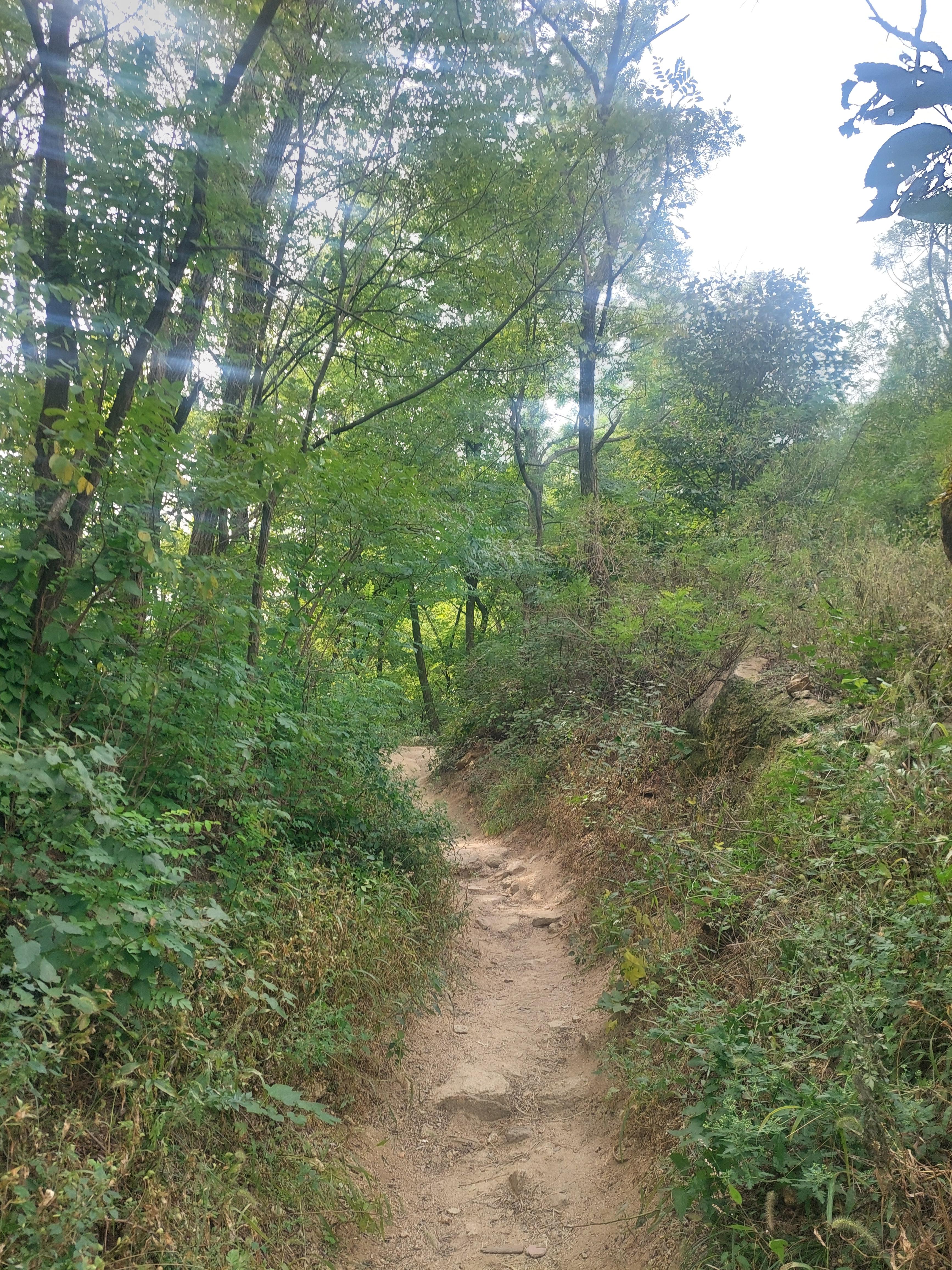 안산