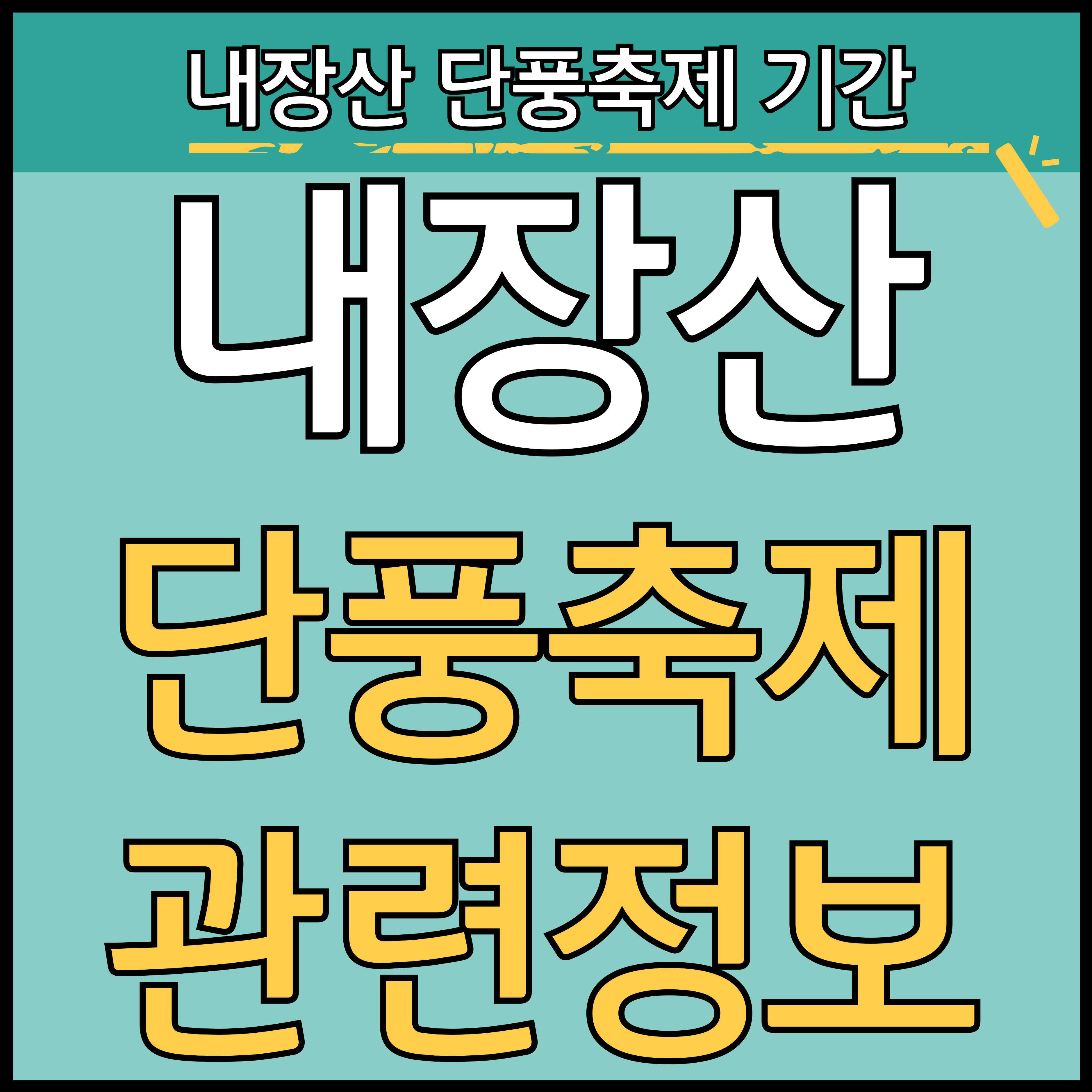 2024 내장산 단풍축제 기간 (국립공원) 썸네일