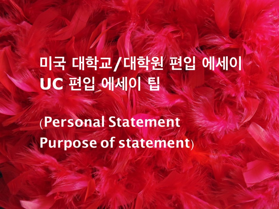  미국 대학교/대학원 편입 에세이 UC 편입 에세이 팁 (PersonalStatement/Statement Of Purpose )