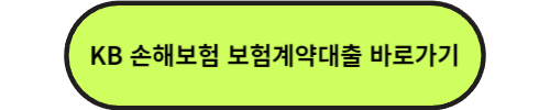 KB손해보험 보험계약대출 안내 기존 보험가입자만 해당되는 보험약관대출