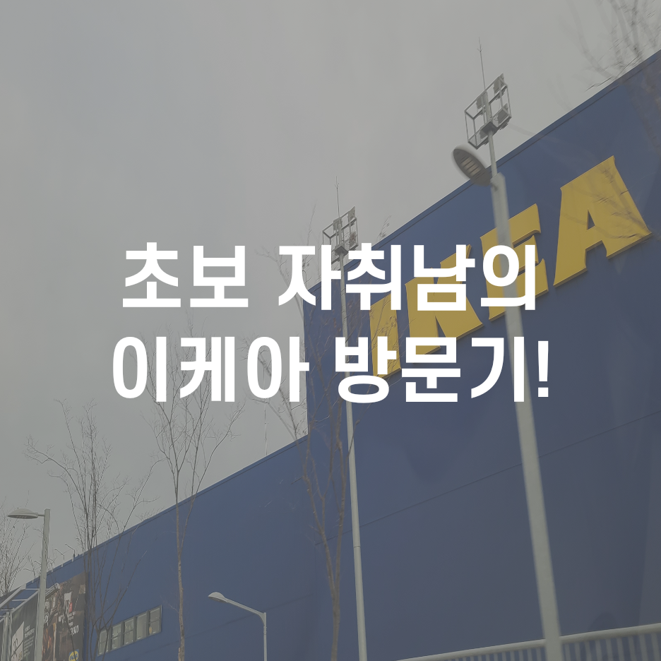  독립일기_자취남의 로망을가지고 이케아 고양점 가다! (돈과 마음의 내적갈등)