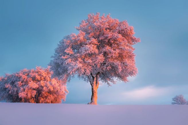 2월 날씨 전망 예보