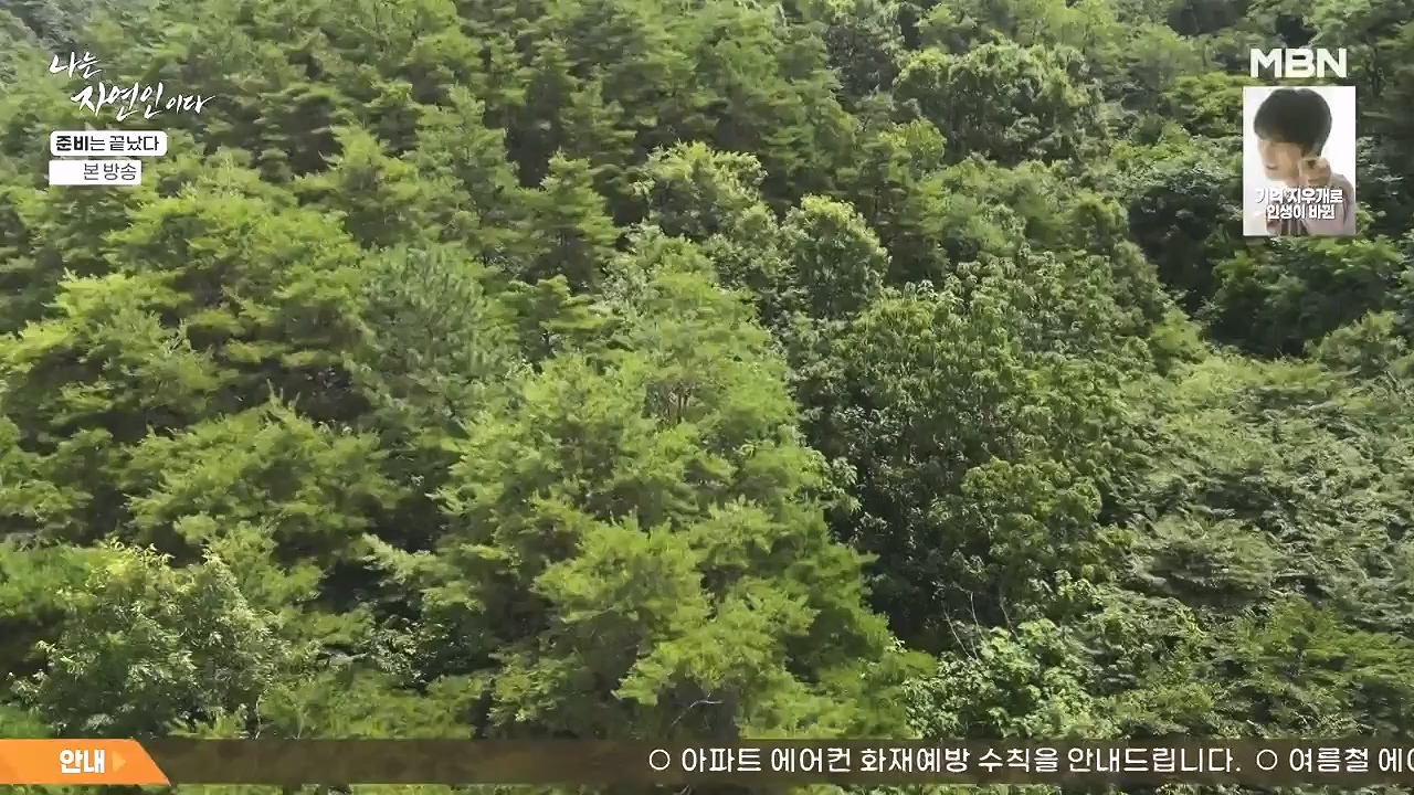 나는 자연인이다.E616.240732p-NEXT.mp4_20240801_195120.112.jpg
