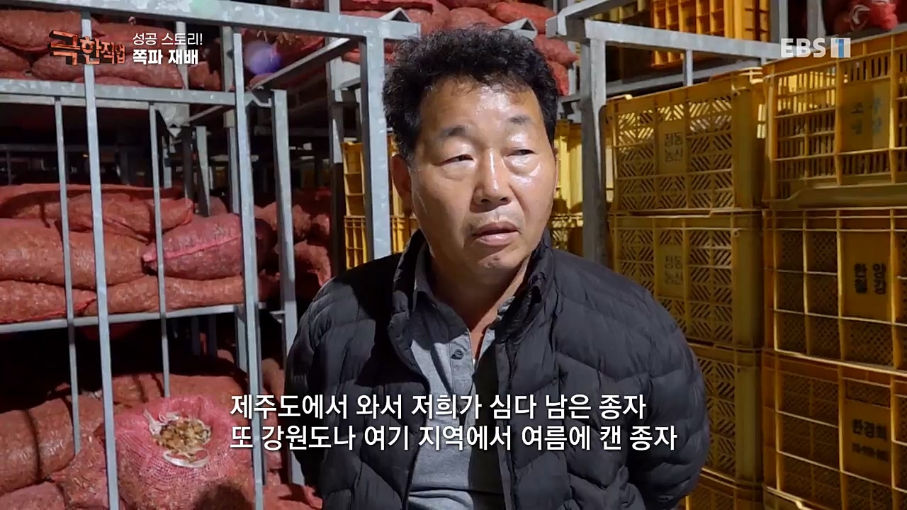 TV - 교육의 중심 EBS성공 스토리! 쪽파 재배와 과일 도매.mp4_20221209_203556.492.jpg