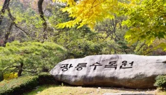 숨겨진 힐링 명소로 떠나는 포천 광릉수목원 완전 정복 가이드북 2025_3