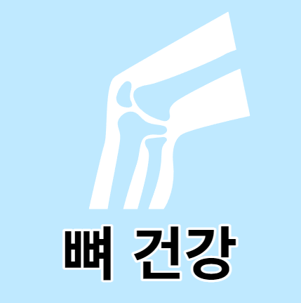 마늘종의 효능 9가지 뼈 건강