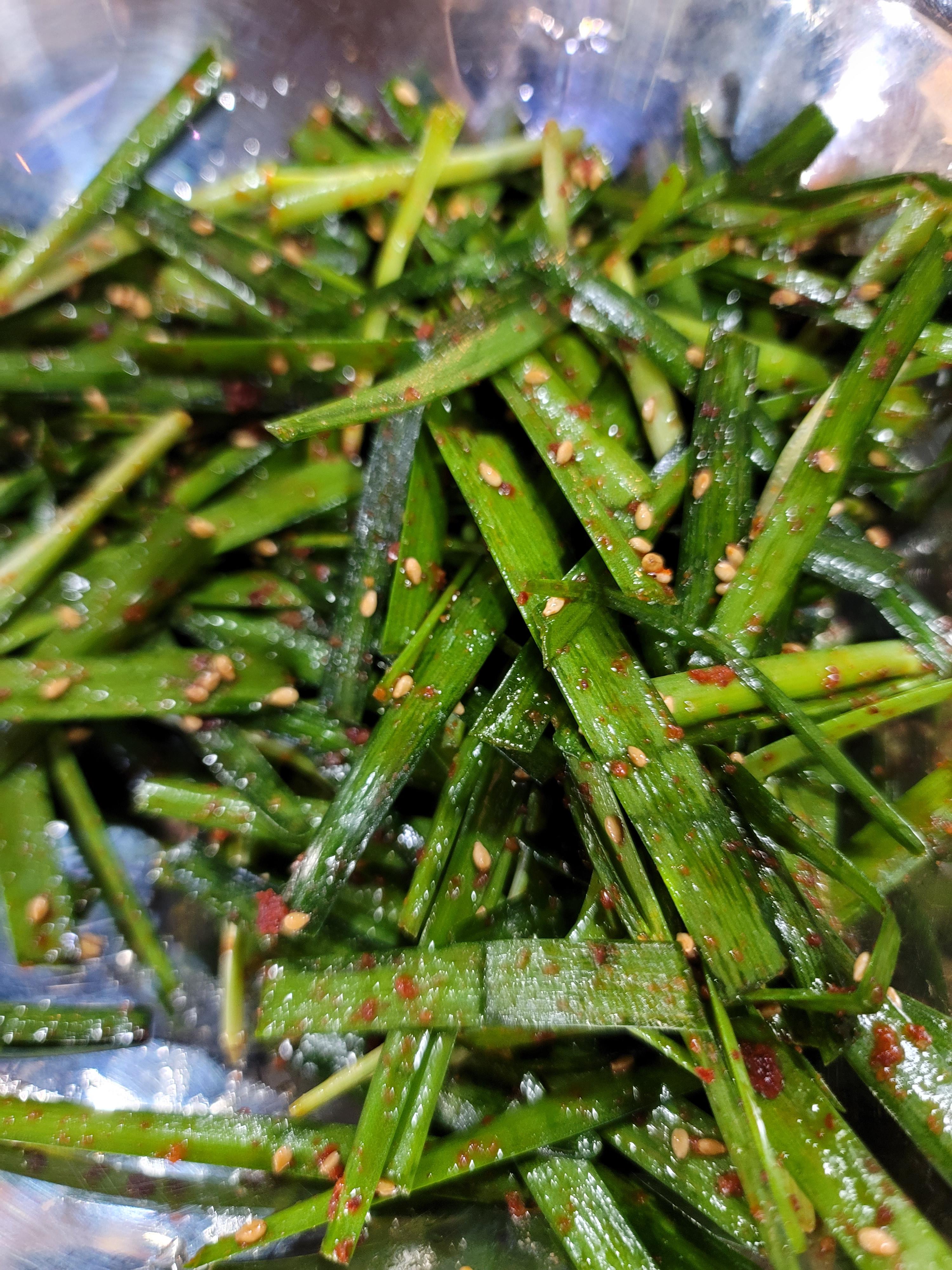 강변오리 이미지