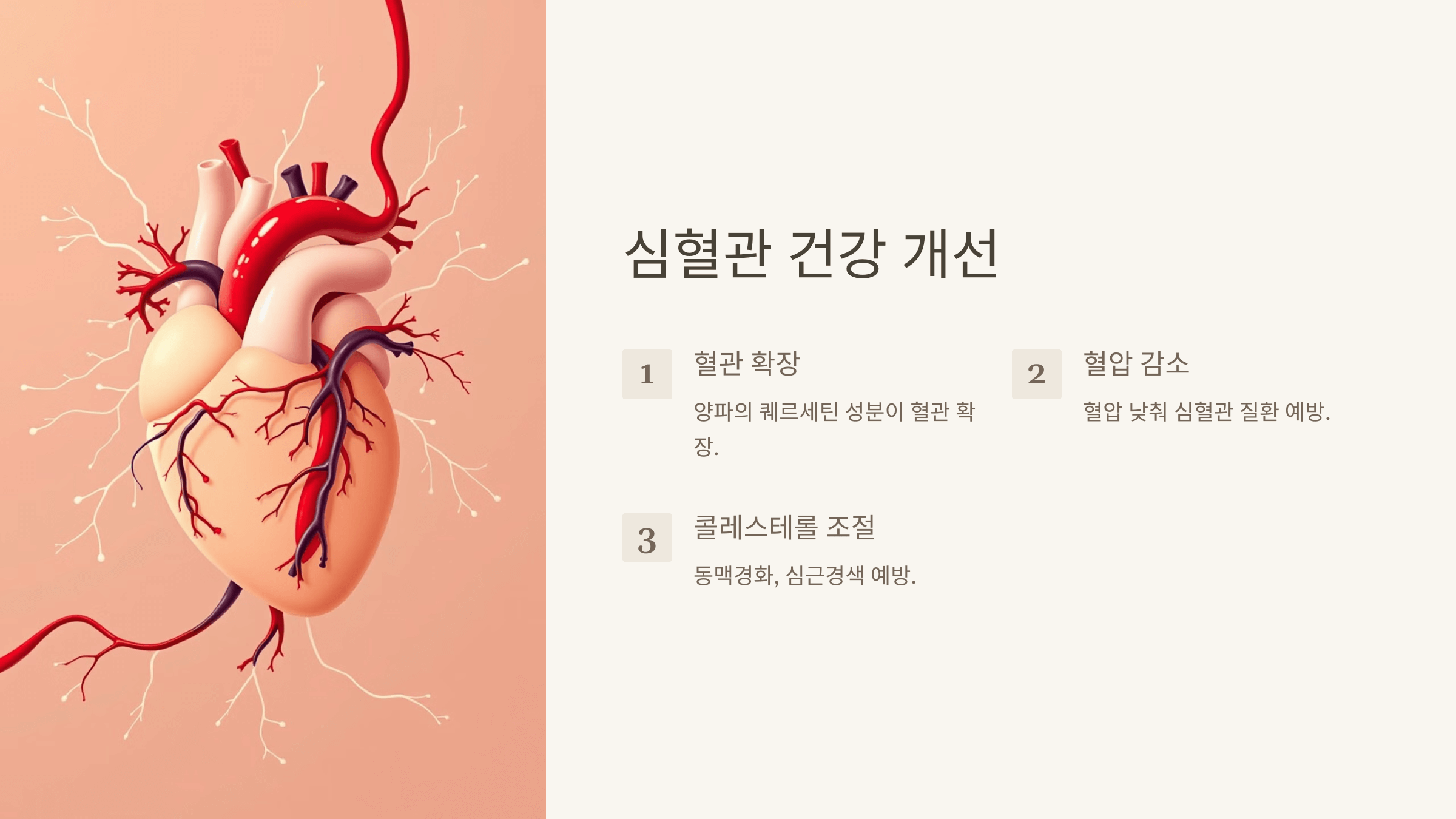 양파즙 사진입니다.