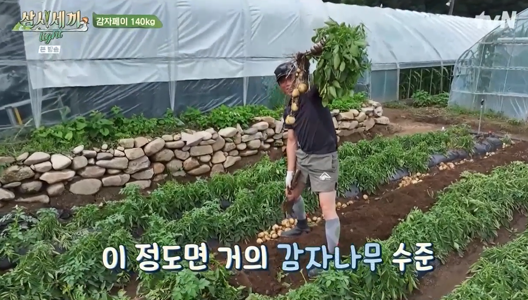 감자캐기에-신이난-유해진