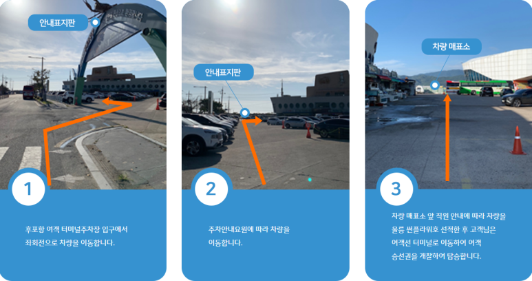 썬플라워 이미지