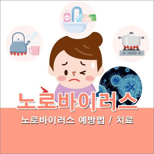 노로바이러스 증상 예방법