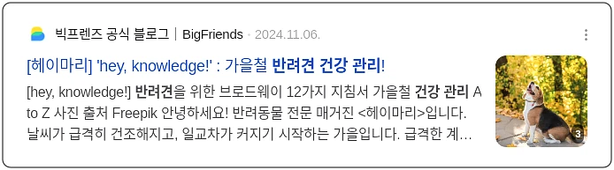 반려견 건강 관리_3_subsection