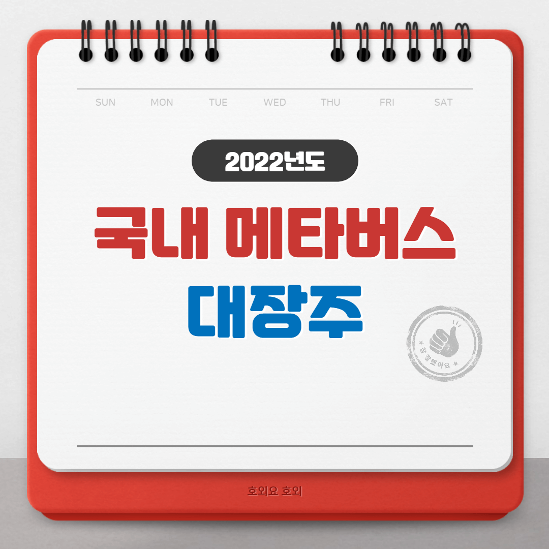  국내 메타버스 대장주 총정리(미국 메타버스 관련주 포함)