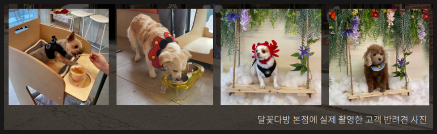 카페 달꽃 이미지