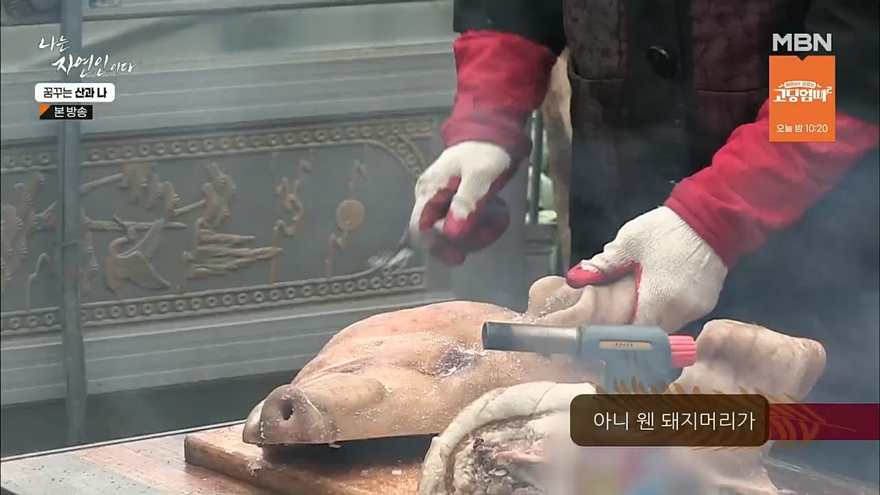 나는 자연인이다.E534.221229p.H264-F1RST.mp4_20221229_200036.161.jpg