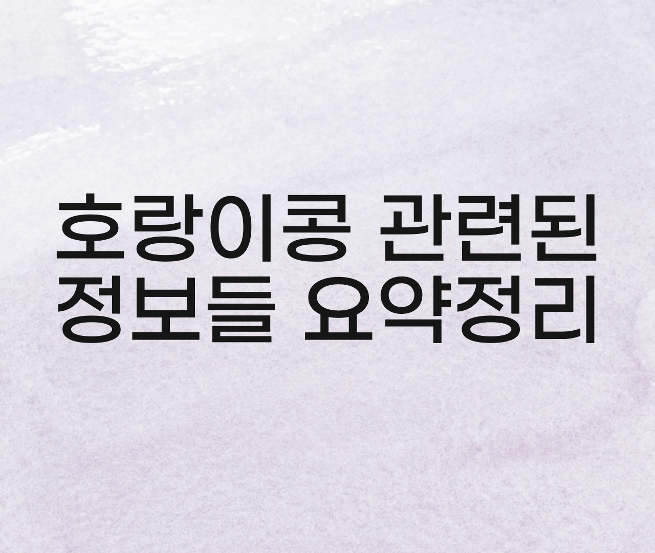  호랑이콩 효능, 부작용, 재배방법, 보관법, 먹는법 정리