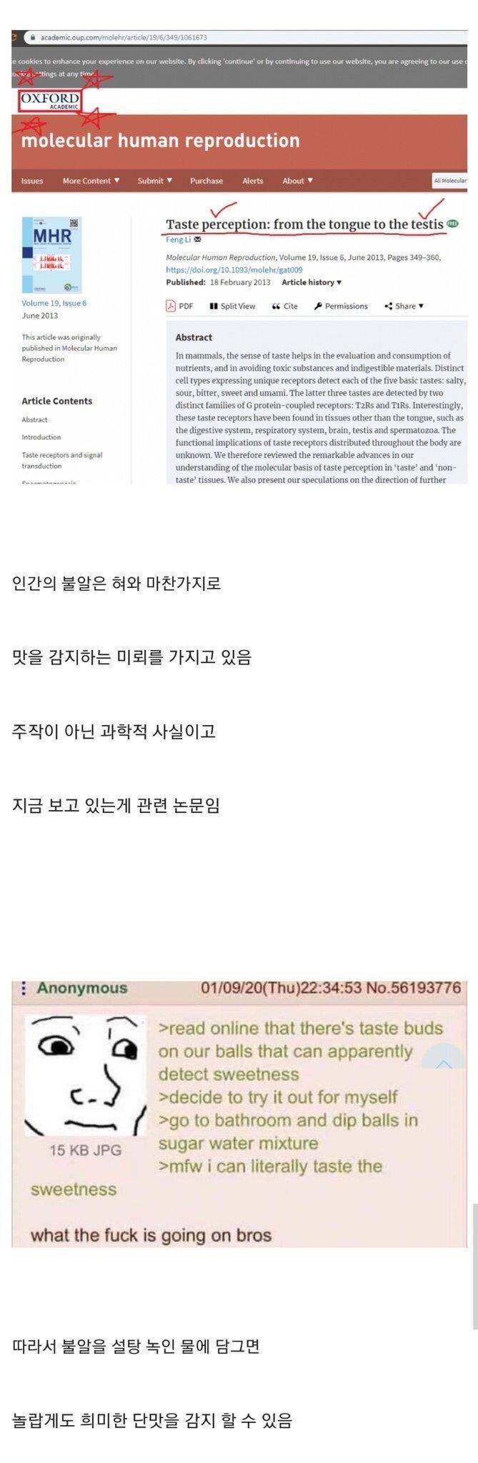  속보) 제 3의 미각 기관 발견