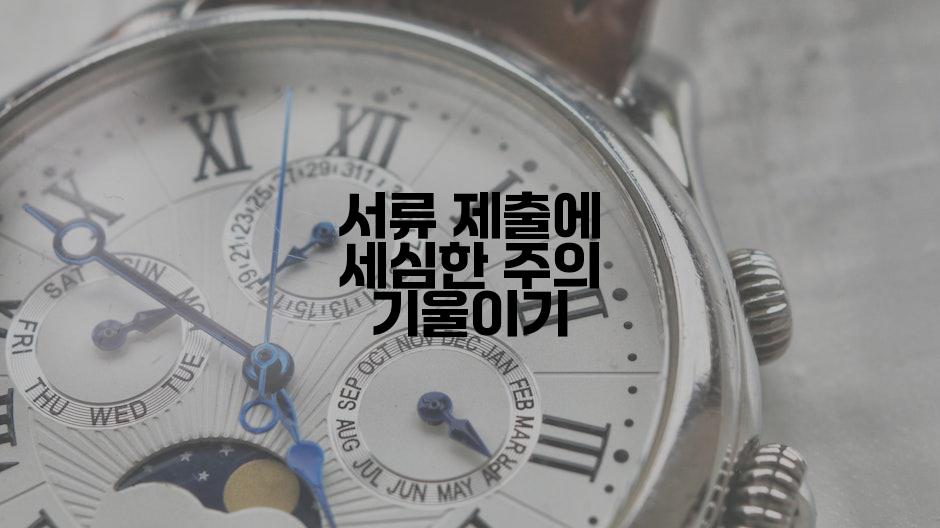 서류 제출에 세심한 주의 기울이기