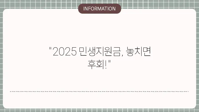 2025 민생지원금 지원 개요