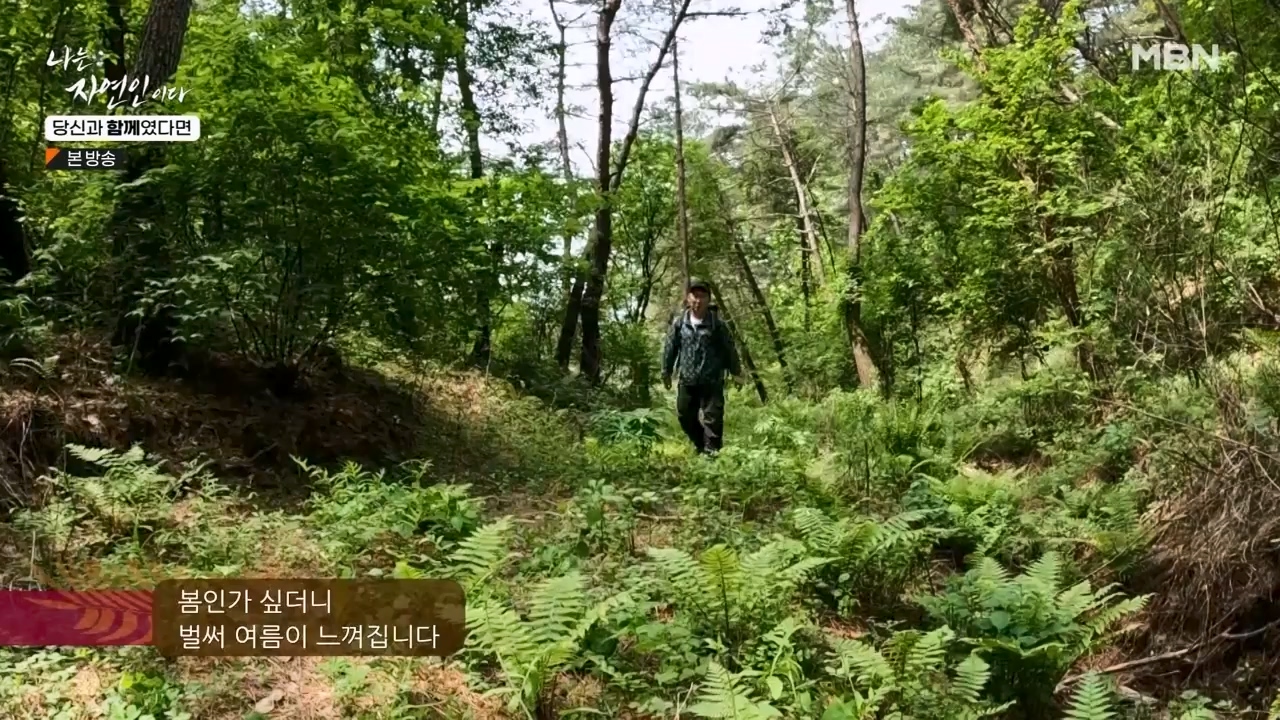 나는 자연인이다.E556.230532p-NEXT.mp4_20230601_201455.787.jpg