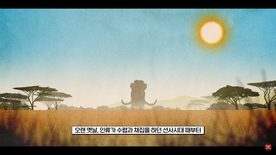  돼지고기를 안 먹는, 소고기를 안 먹는 이유. 이슬람은 왜 고기 못 먹게 할까?