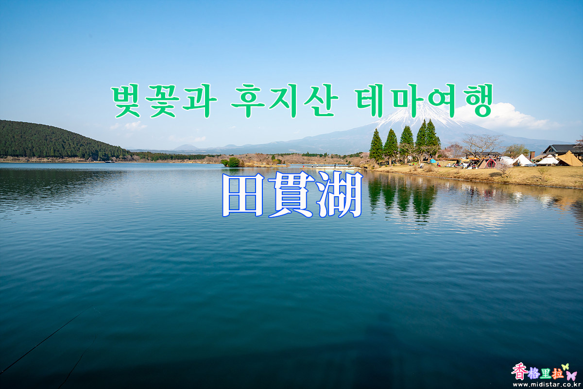 19 벚꽃과 후지산 테마여행 다누키호수 田貫湖