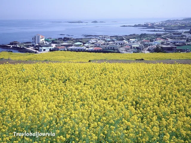 제주도 동쪽 여행_4