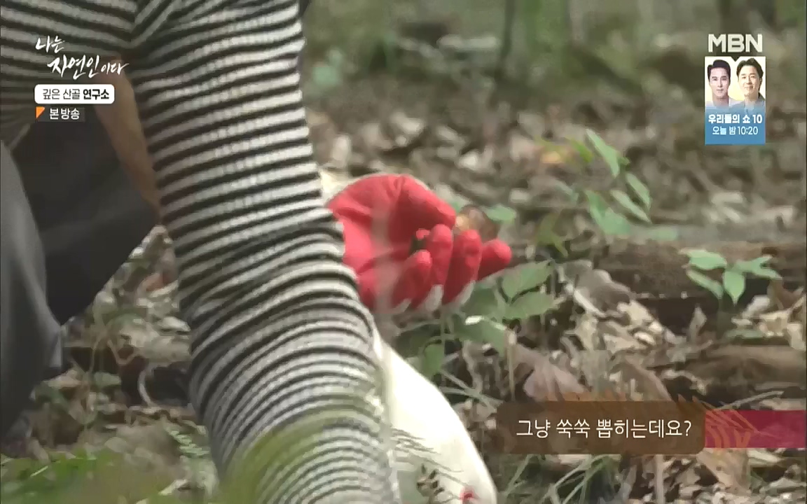 나는 자연인이다.E523.221013p.WANNA.mp4_20221013_201139.521.jpg