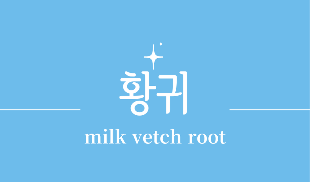 '황귀(milk vetch root)'