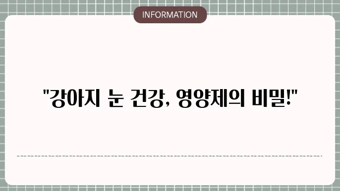 강아지 백내장 영양제 제품: 