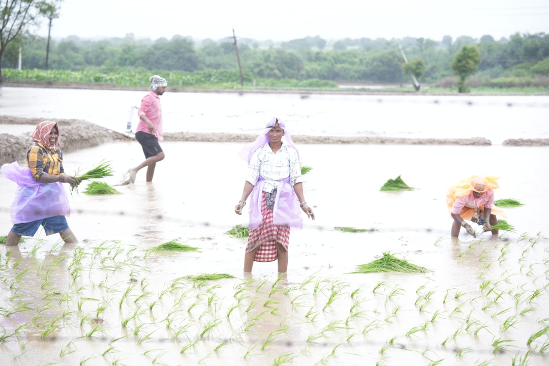 Fertilizer