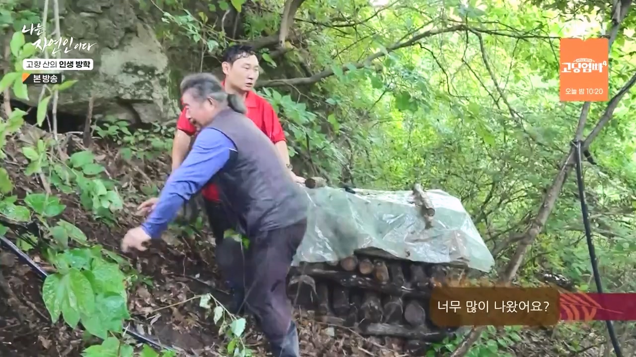 나는 자연인이다.E568.230824p-NEXT.mp4_20230824_203256.999.jpg