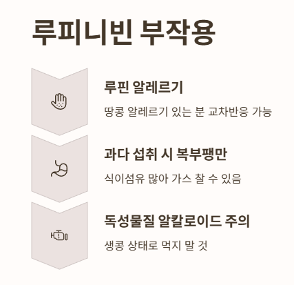 루피니빈 부작용