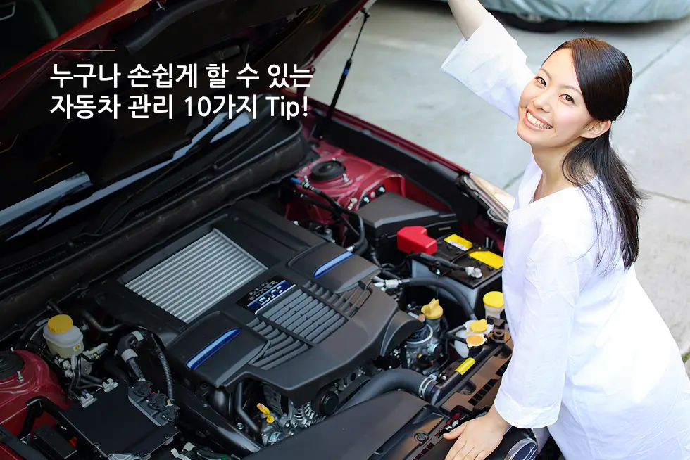  자동차 유지 관리 방법 및 비용: 걱정 없는 드라이빙을 위한 핵심 가이드