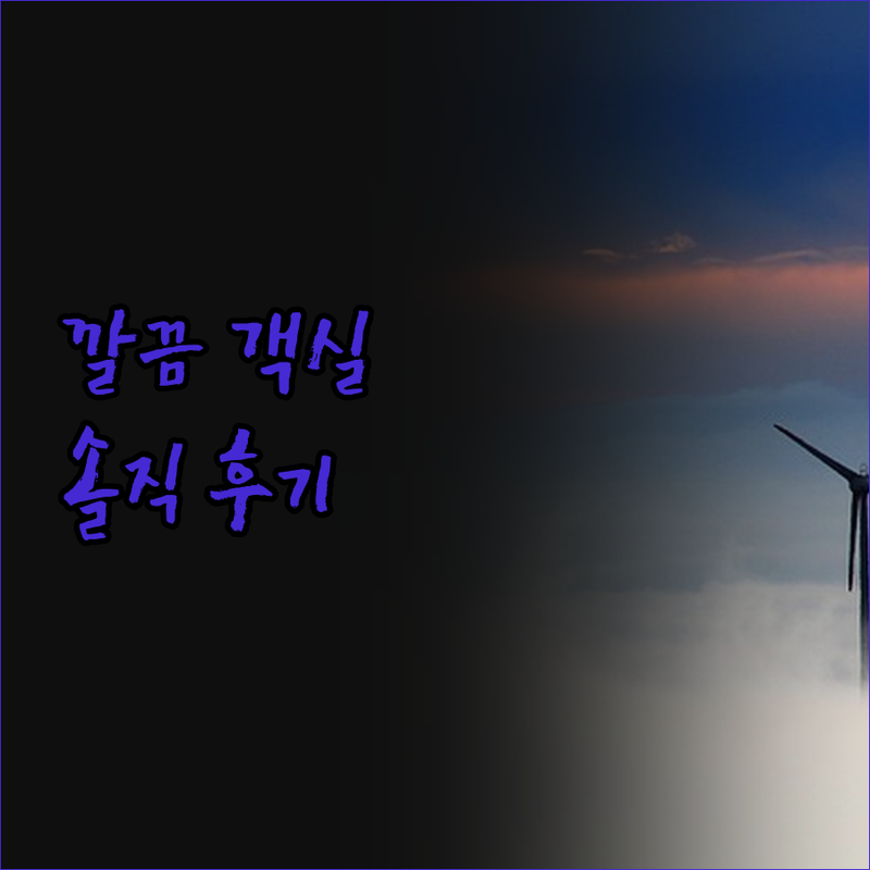 프리토리아 '호텔 224', 깔끔한 