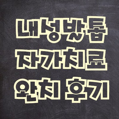  내성발톱 자가치료 및 치료 후기(완치)
