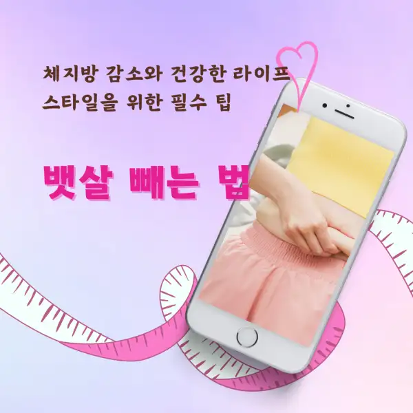 뱃살 빼는 법 완벽 가이드