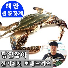  올가을은 "꽃게" 먹는 제철식품으로, 저렴하게 맛보세요. 꽃게추천상품List + 소비자평가 / 꽃게가 돌아왔습니다~~