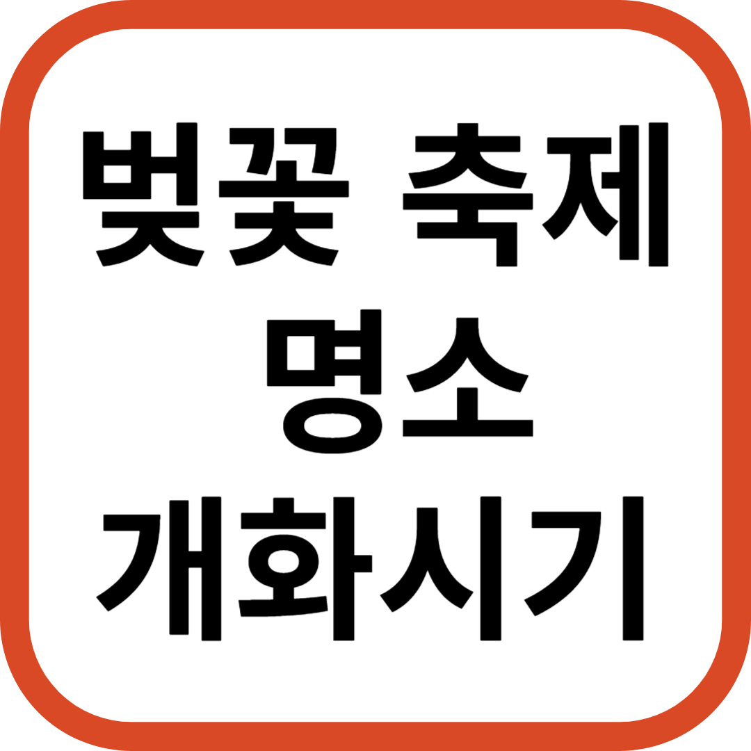  벚꽃 축제 명소 개화시기