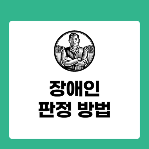 장애 판정 시스템의 변화: '등급제' 폐지와 '장애 정도' 구분